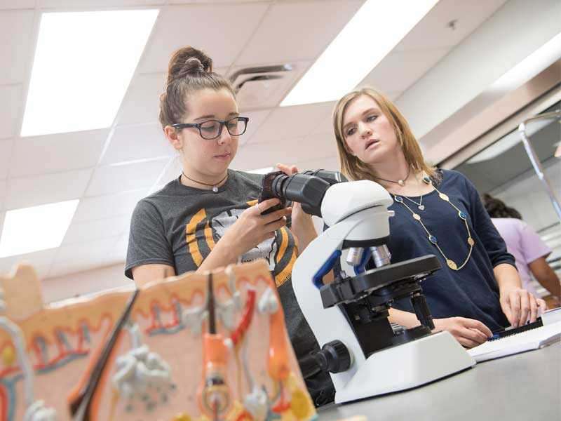 Students in a science class using a microscope