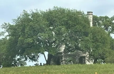 Photo for What Does it Mean to 'Live on Purpose?'