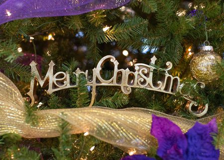 Image for 雪梨社区 Arts Academy Presents Community Christmas Carol Sing Sunday