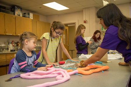 Image for UMHB's College of Humanities and Sciences Hosts Science Saturday