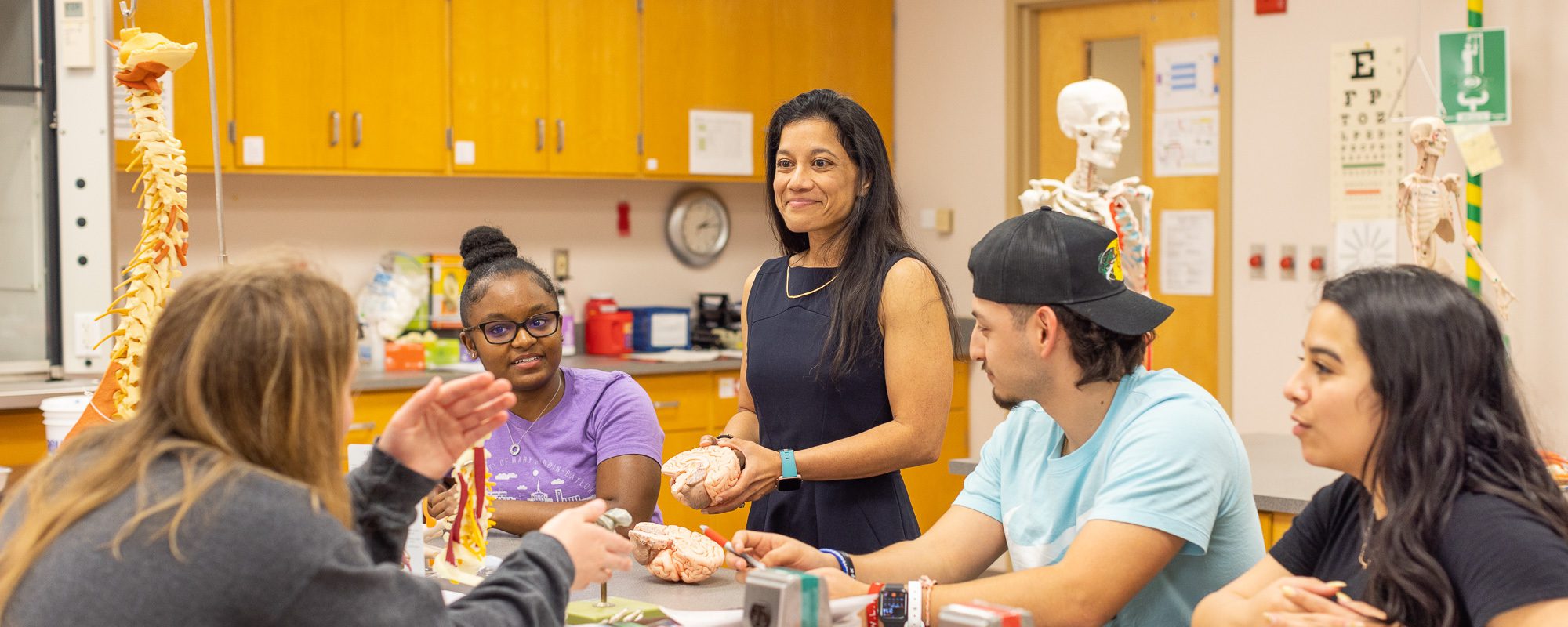 Neuroscience degree students learning about interworkings of the brain with neuroscience program proffesor.