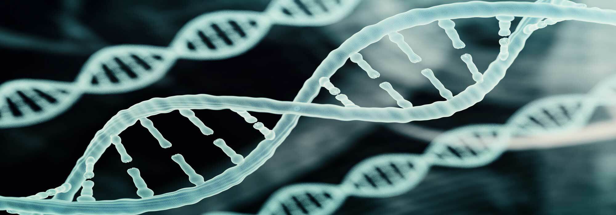 Bioinformatics Tutor