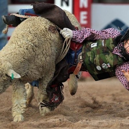 Image for Central Texas State Fair Back in Town Hosting Demolition Derby and More