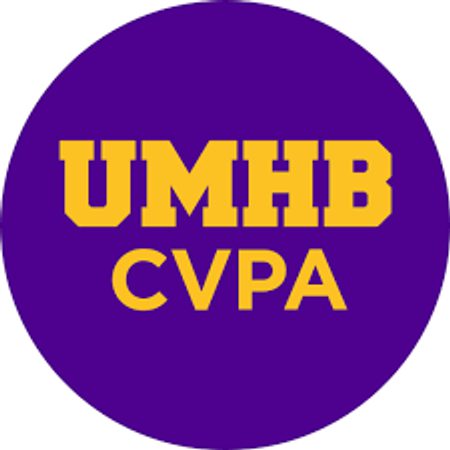 Image for Introducing the 雪梨社区 Arts Academy