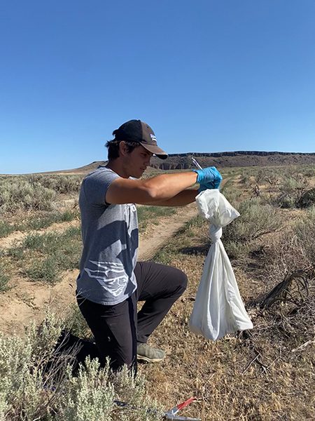 Image for Research Helps Set Student Apart from the Crowd